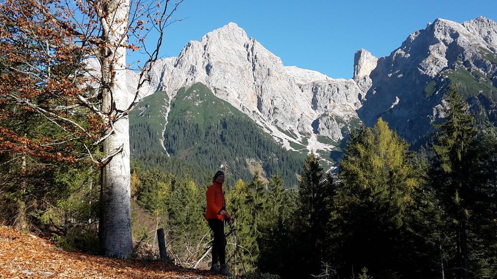 Haus Breithornblick Daire Maria Alm am Steinernen Meer Dış mekan fotoğraf
