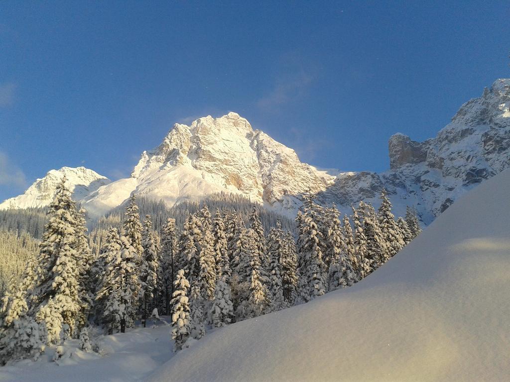 Haus Breithornblick Daire Maria Alm am Steinernen Meer Dış mekan fotoğraf